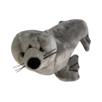 Mawson - Australian Sea Lion - 23cm, grey