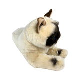 Mia Burmese cat plush lying