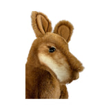 Plush toy Miles head on a white background