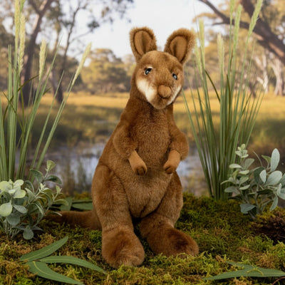 Miles - Red Necked, Bennett's, Swamp Wallaby - 30cm