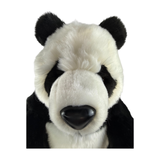 Close View Mini Panda Bear 