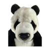 Close View Min Panda Bear 