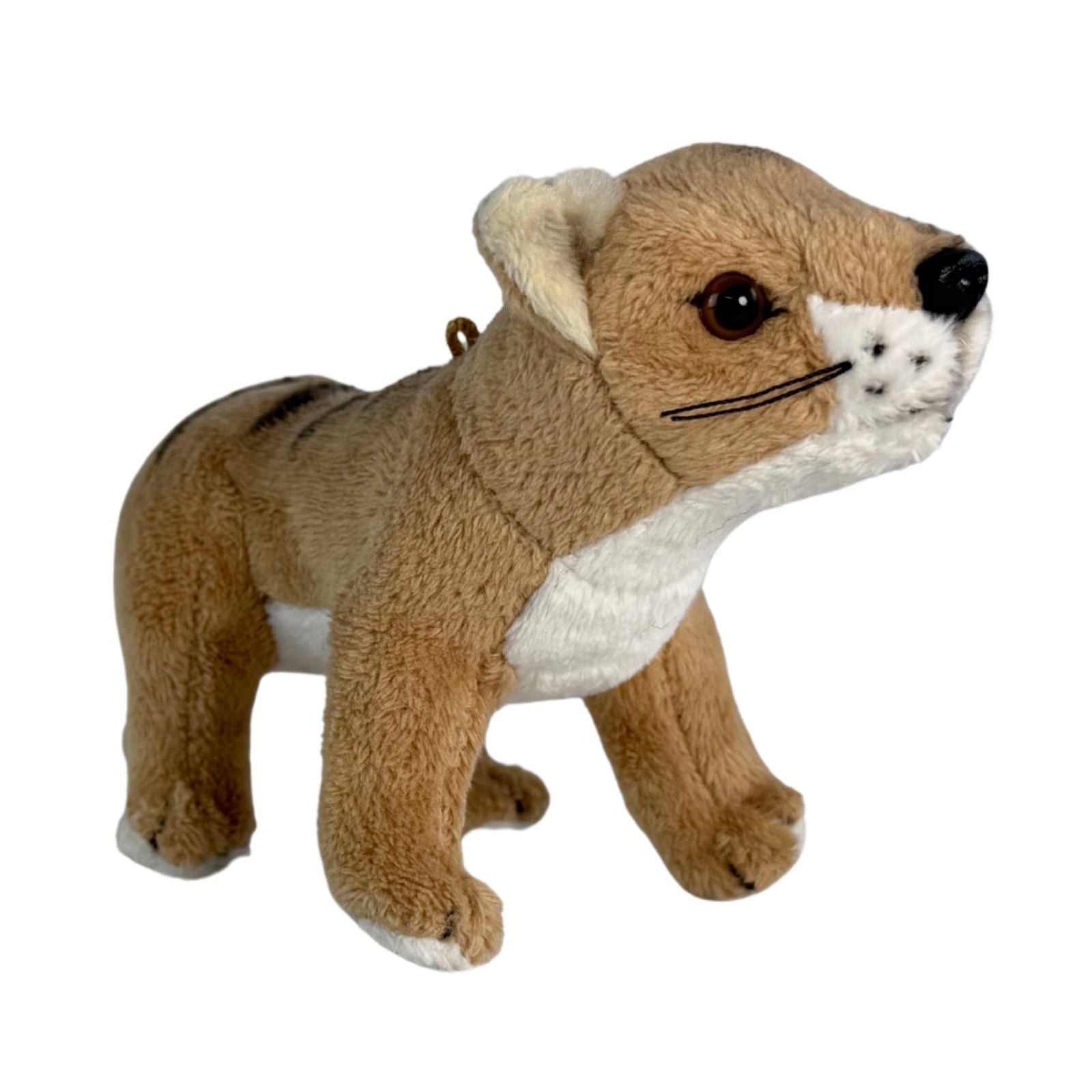 Baby Tassie tiger also known as Thylacines a small plush toy souvenir ideal size for children