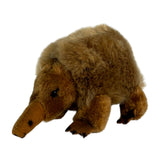 Baby spiny anteater a small plush toy souvenir ideal size for children