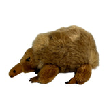 Baby spiny anteater a small plush toy souvenir ideal size for children