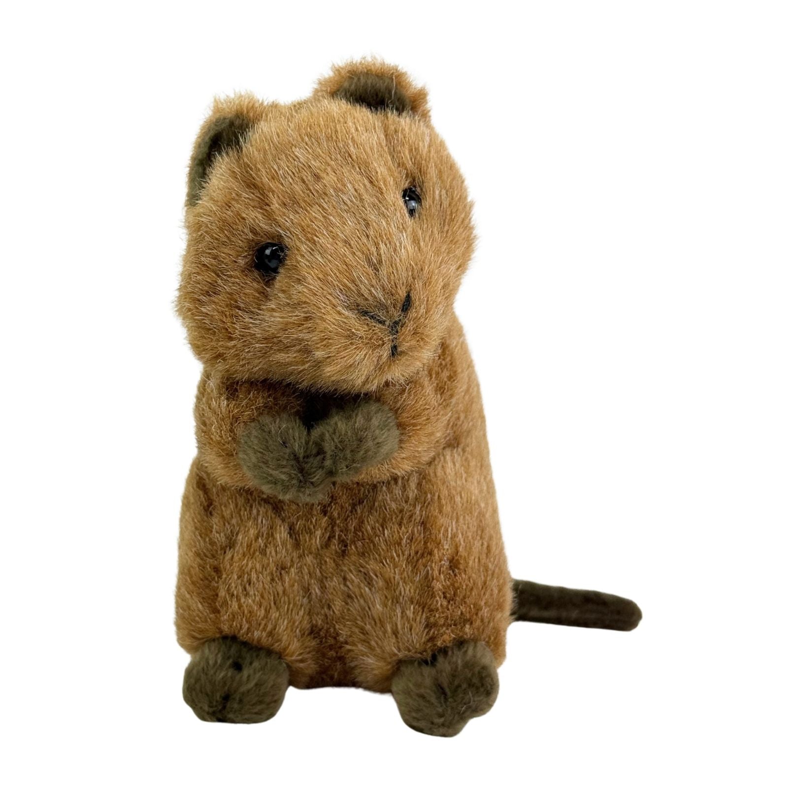 Mini quokka plush toy front view