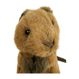 Mini quokka plush toy close up face
