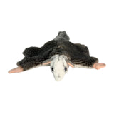 Mini squirrel glider plush front view