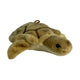 Mini turtle plush toy angle view