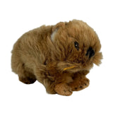 Baby hairy nose wombats a small plush toy souvenir ideal size for children