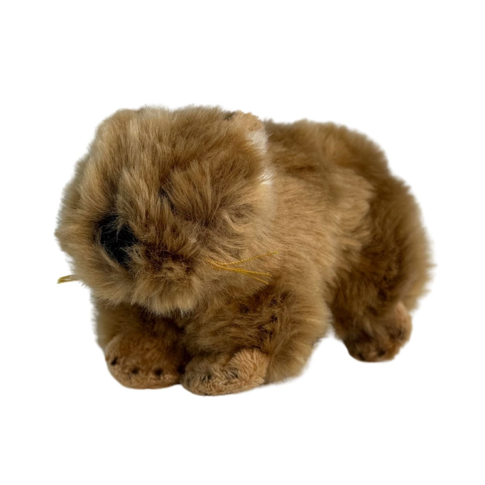 Baby hairy nose wombats a small plush toy souvenir ideal size for children