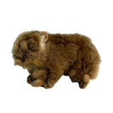 Baby hairy nose wombats a small plush toy souvenir ideal size for children