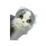 Missy Norwegian Grey cat plush close up face