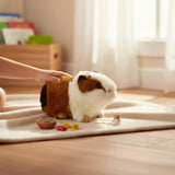 Mocca Guinea Pig plush toy indoors