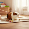 Mocca (Guinea Pig, standing, red, white & black - 10cm)
