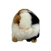 Mocca (Guinea Pig, standing, red, white & black - 10cm)