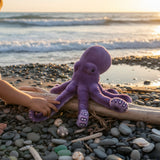 Nate purple octopus plush on pebbled beach at sunset