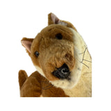 Close-up of a plush dingo toy on a white background