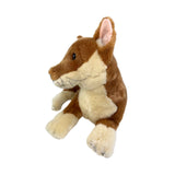 Plush toy dingo on a white background