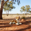 Nelly (Dingo - 40cm lying)