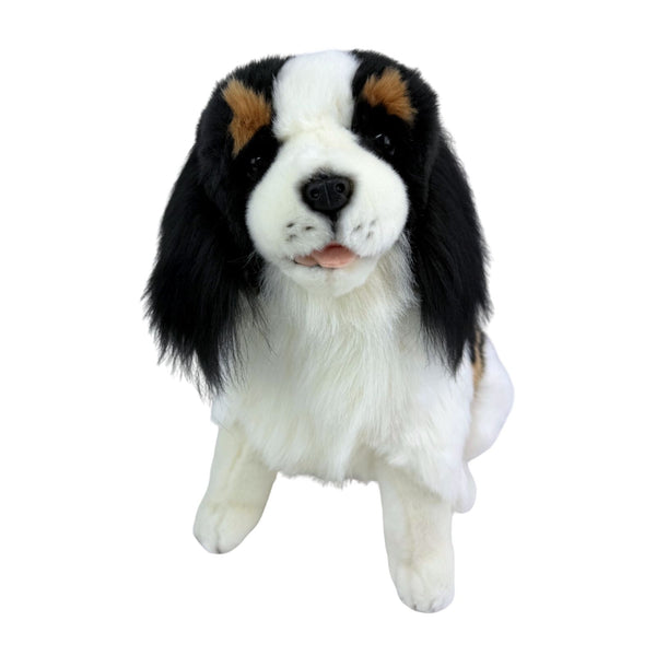 Chester - Cavalier King Charles Spaniel - 32cm, sitting