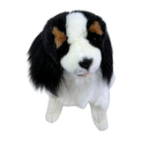 Chester Cavalier King Charles Spaniel plush toy close-up