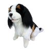 Chester - Cavalier King Charles Spaniel - 32cm, sitting