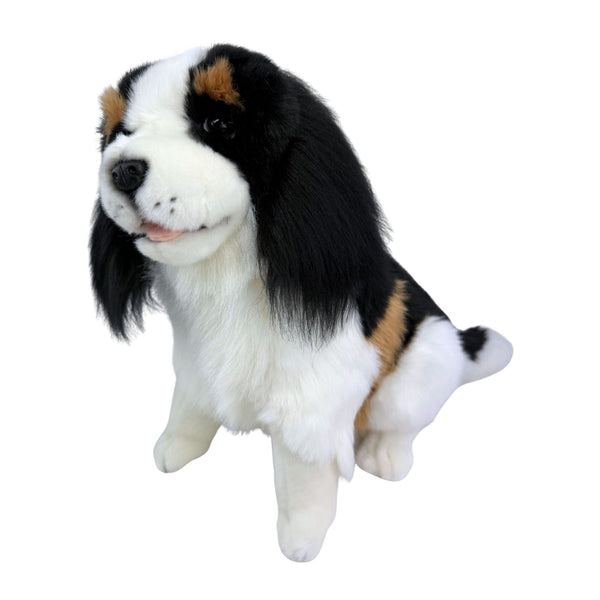 Chester - Cavalier King Charles Spaniel - 32cm, sitting