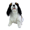 Chester - Cavalier King Charles Spaniel - 32cm, sitting
