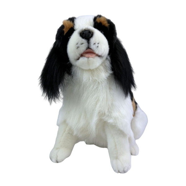 Chester - Cavalier King Charles Spaniel - 32cm, sitting