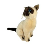 Noodles Siamese cat plush sitting