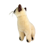 Noodles Siamese cat plush sitting looking away