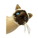 Noodles Siamese cat plush close up face