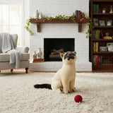 Noodles Siamese cat plush sitting on carpet near fireplace