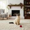 Noodles (Siamese Cat - 26cm sitting)