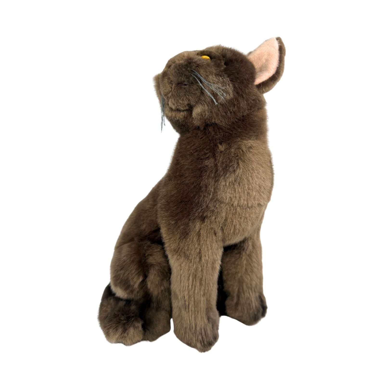 Nutmeg Burmese Cat 26cm sitting, chocolate brown – Bocchetta