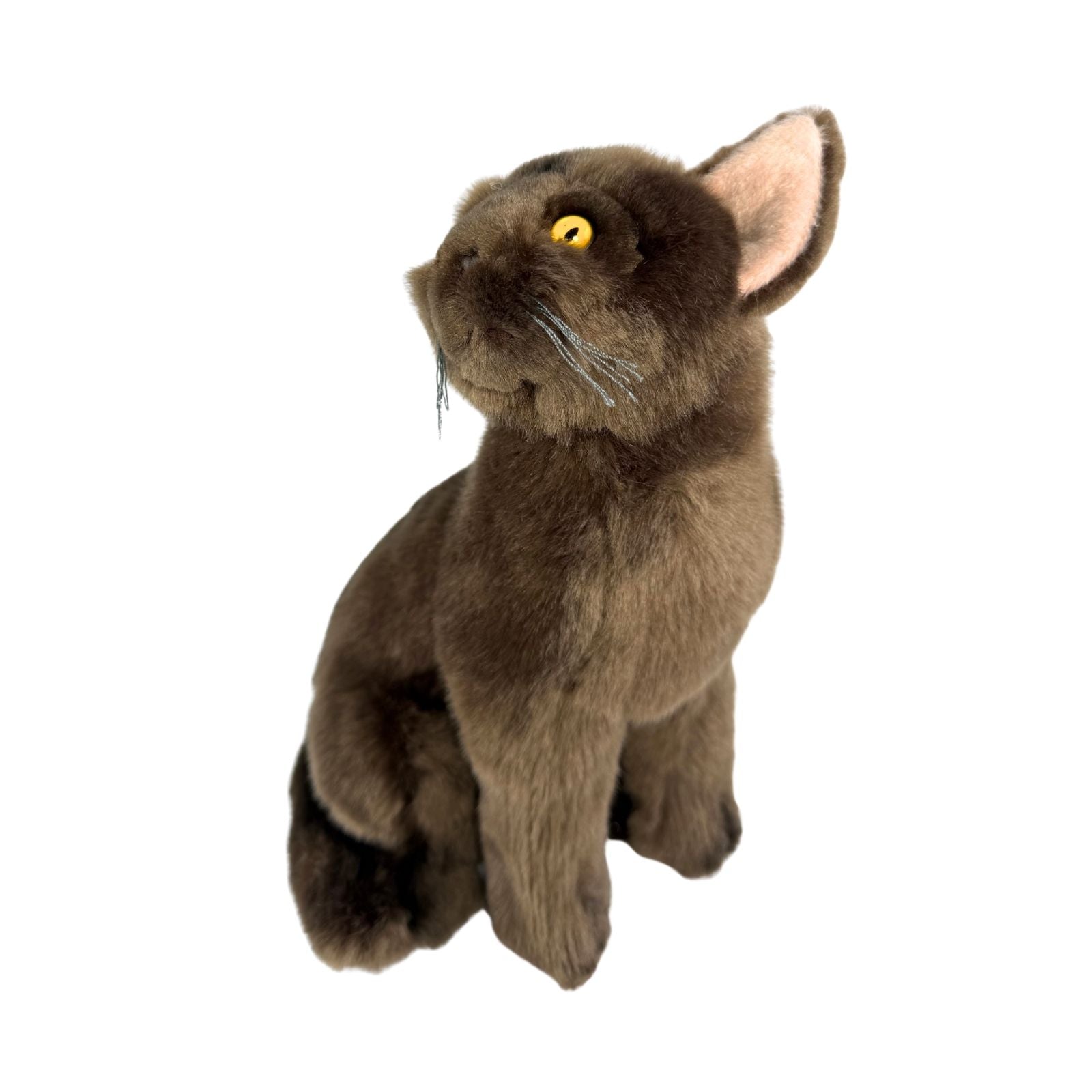 Nutmeg Burmese cat plush sitting