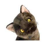 Nutmeg Burmese cat plush close up face