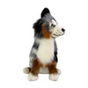 Oakley  (Australian Shepherd - 35cm sitting, Blue Merle)