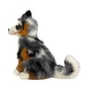 Oakley  (Australian Shepherd - 35cm sitting, Blue Merle)