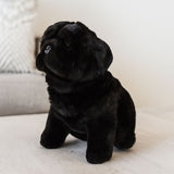 Oreo black Pug plush sitting indoors
