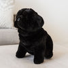 Oreo (Pug - 28cm sitting, black)