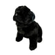 Oreo black Pug plush sitting front view