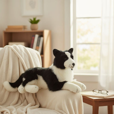 Oscar - Border Collie - 62cm lying