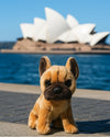 Paris (French Bulldog - 30cm sitting, brown)