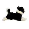 Patch (Border Collie - 28cm floppy)