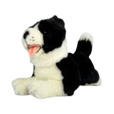 Patch Border Collie plush lying front view