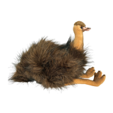 Plush toy emu on a white background