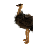 Plush toy emu on a white background