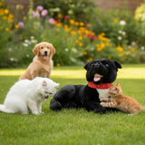 Pepper Staffy plush lying with kittens on grass, golden retriever behind.